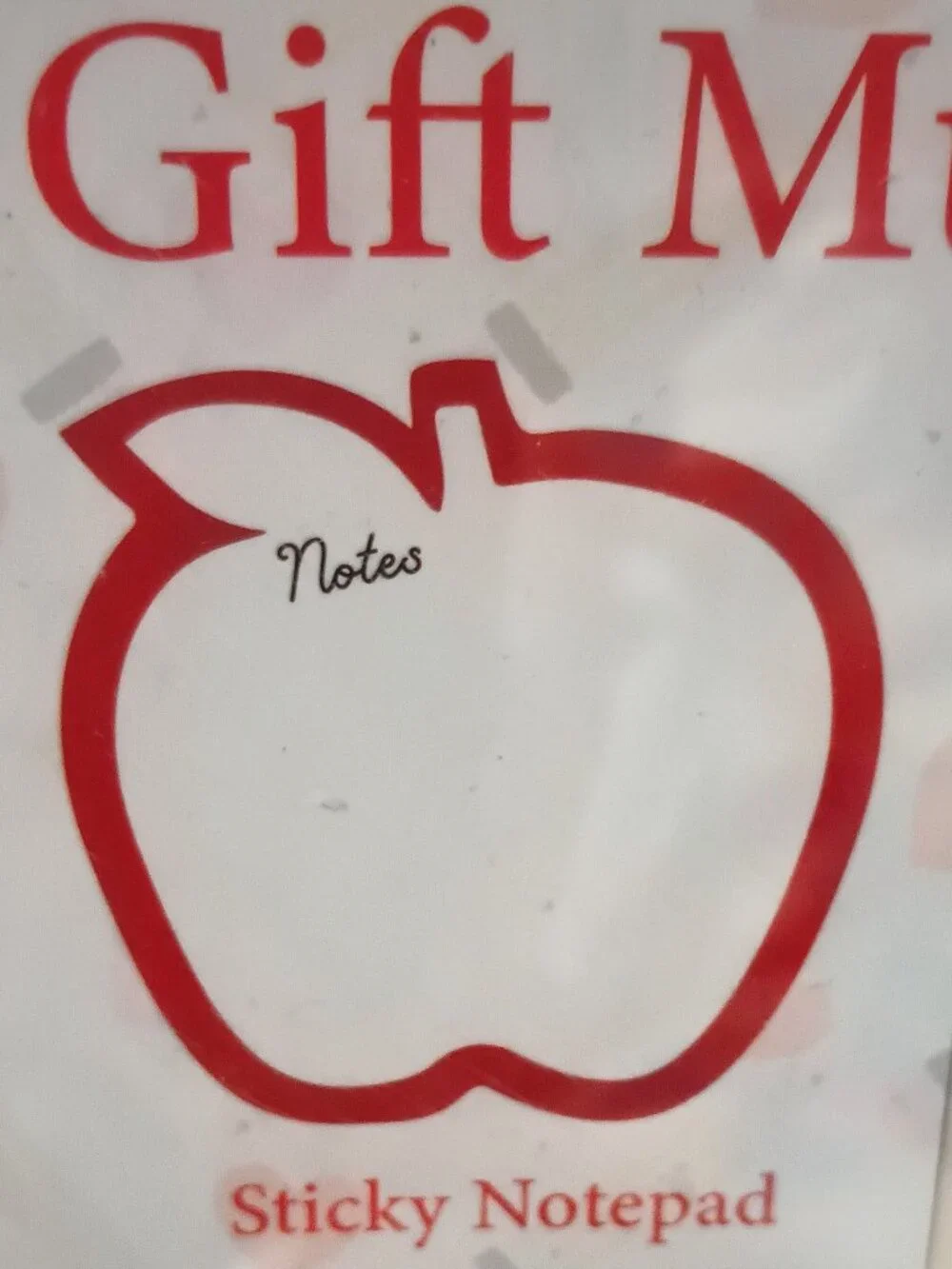 NWT ~ Teacher 